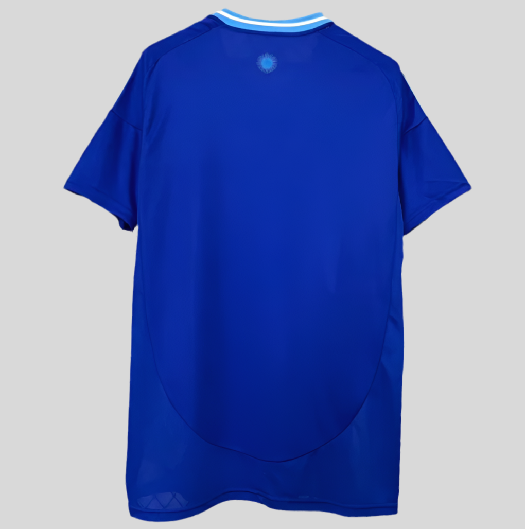 Argentina away 24-25
