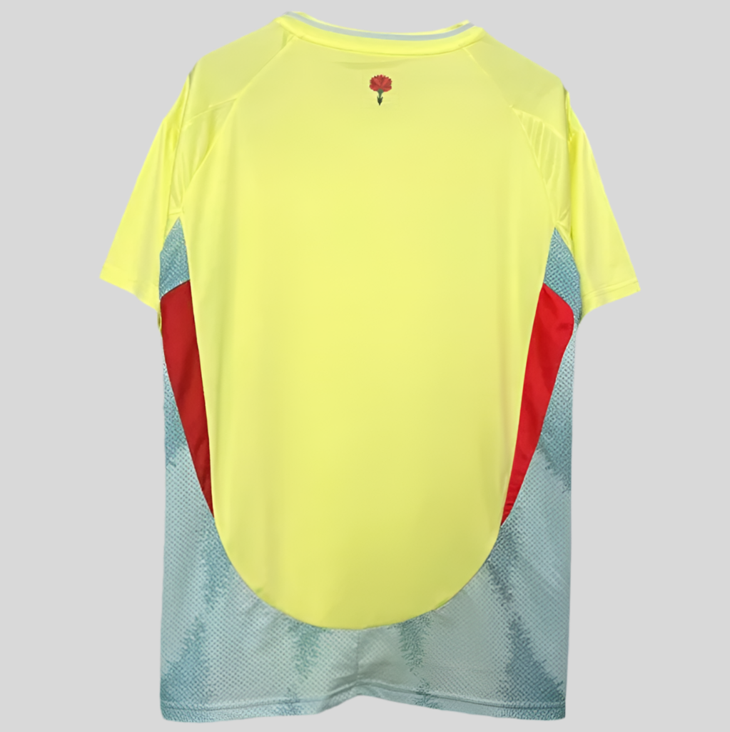 Spain away 24-25