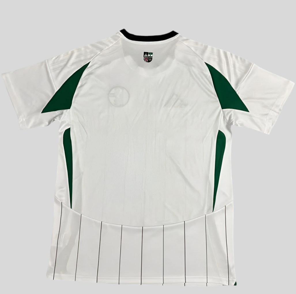 24/25 Schalke 04 Away