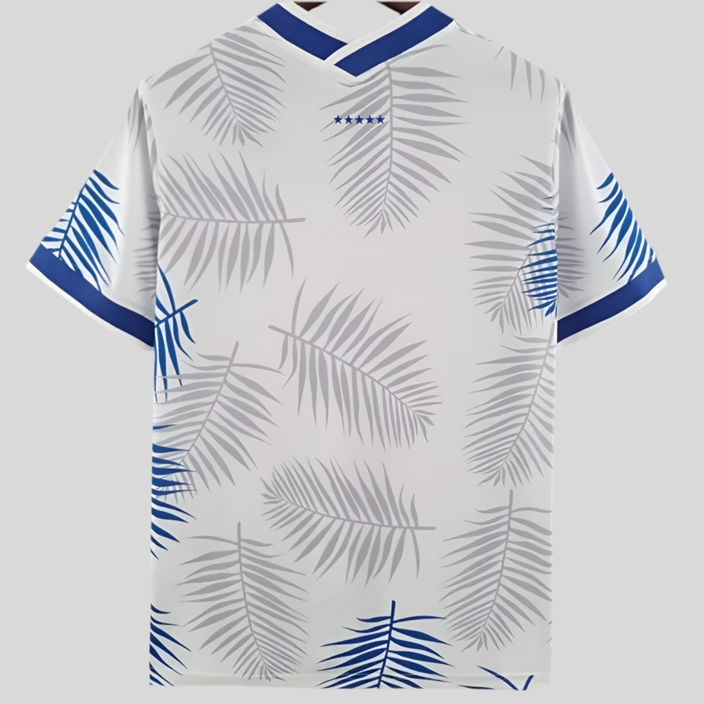 Brazil Blue/White