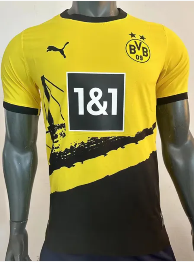 Dortmund home 23-24