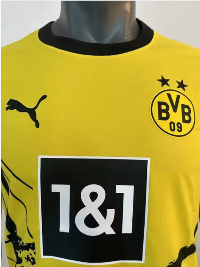 Dortmund home 23-24
