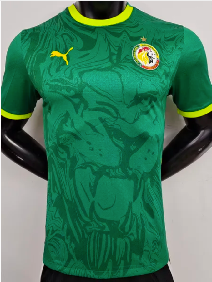 24/25 Senegal Away