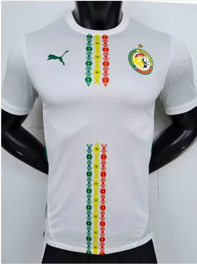 24/25 Sénégal Domicile