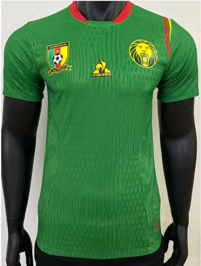 24/25 Cameroon Home