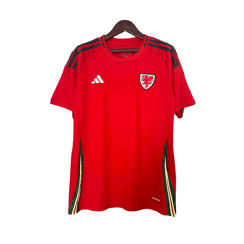 Pays de Galles domicile 24/25