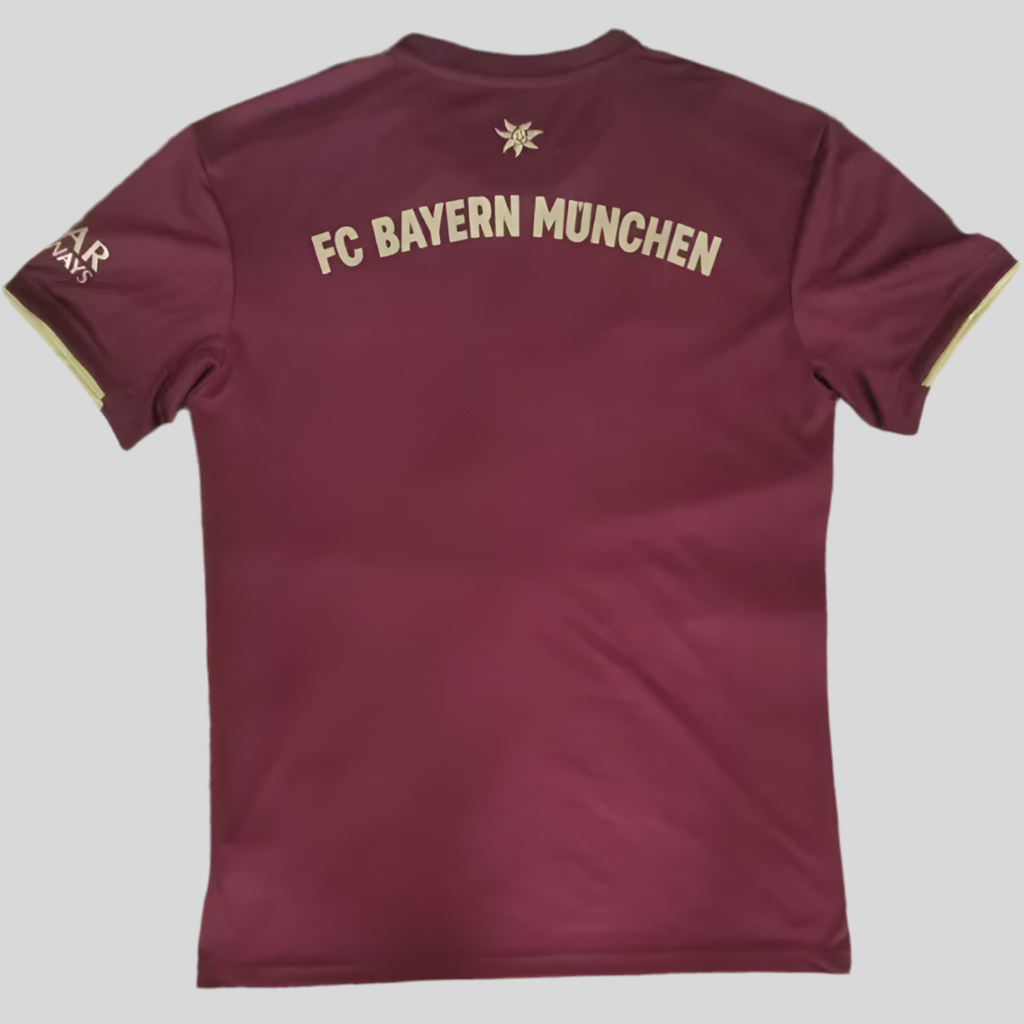 Bayern fans