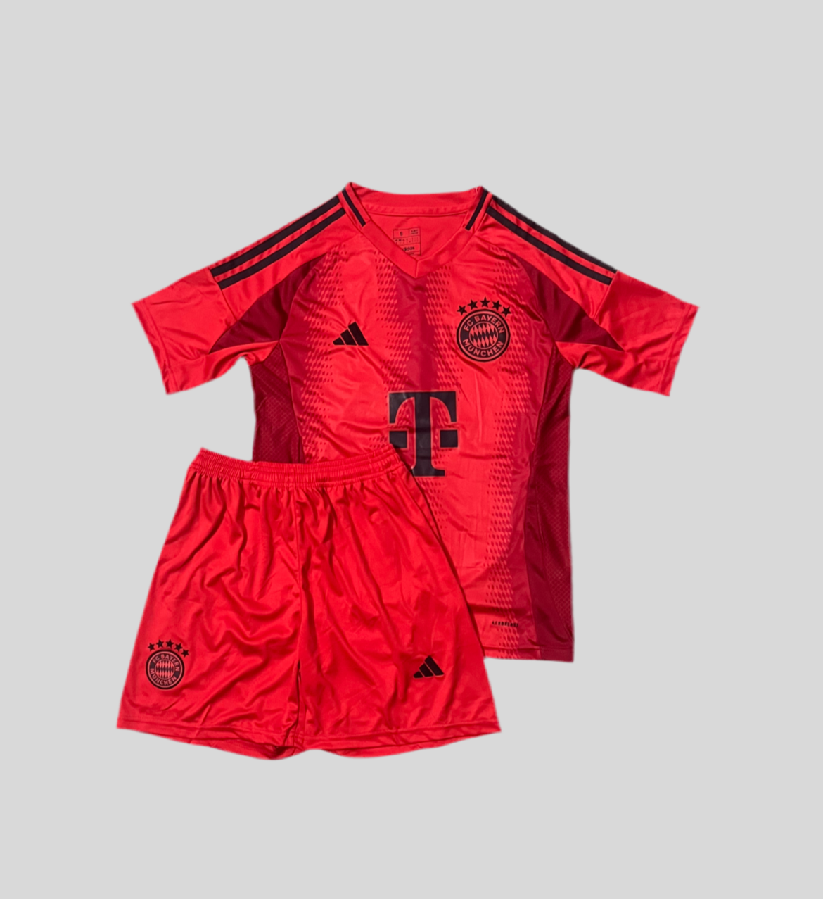 ENSEMBLE BAYERN 24/25