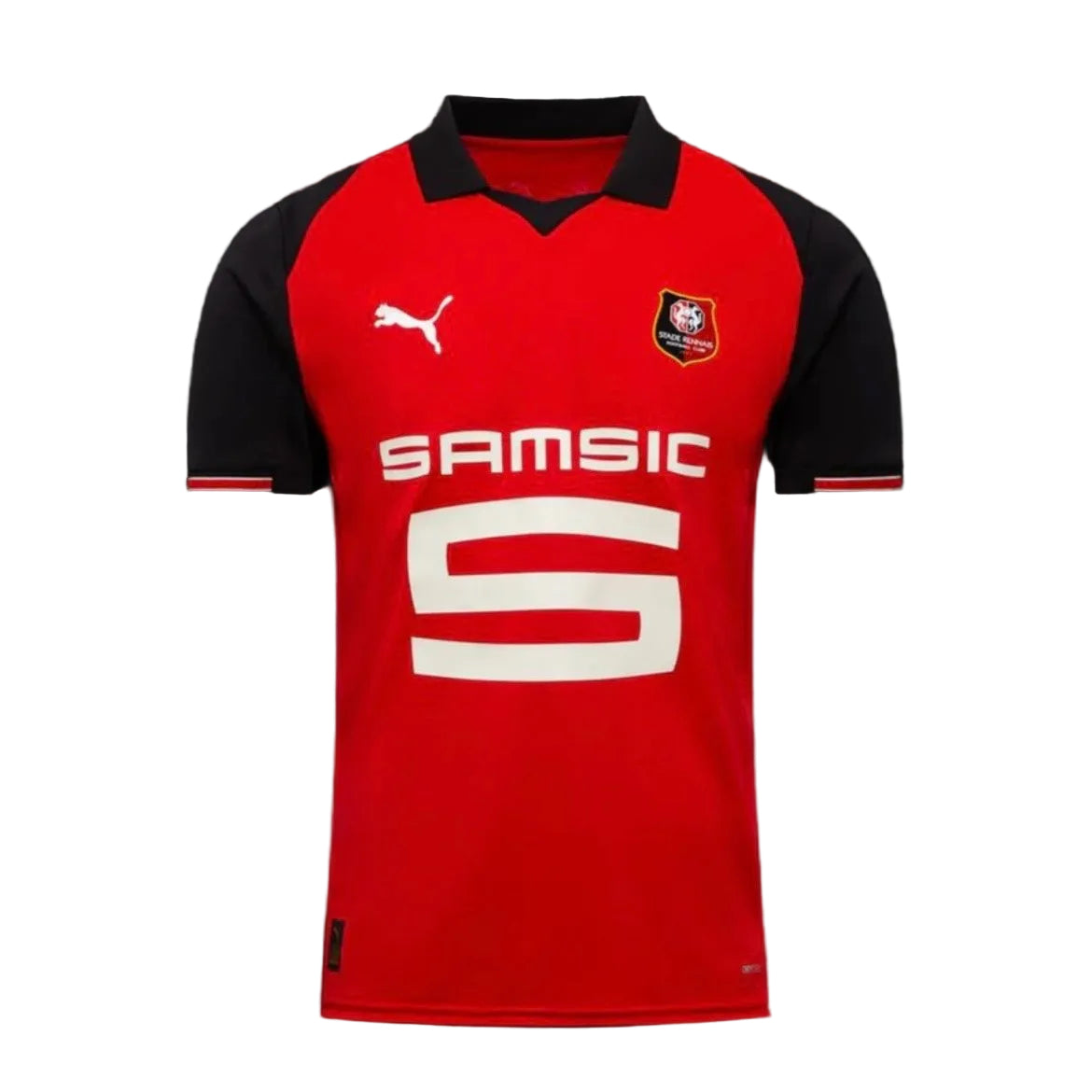 Rennes 25/26 Domicile
