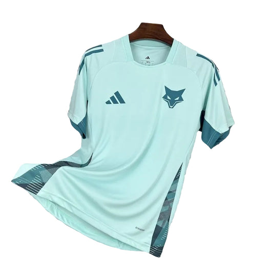 Cruzeiro spécial 24/25