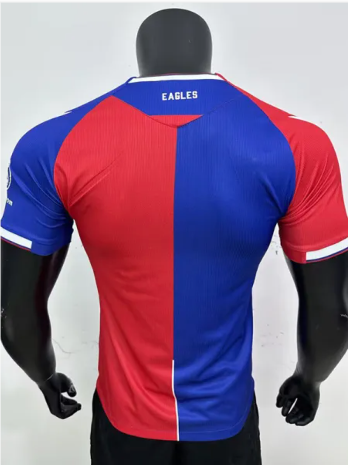 Crystal palace domicile 23-24