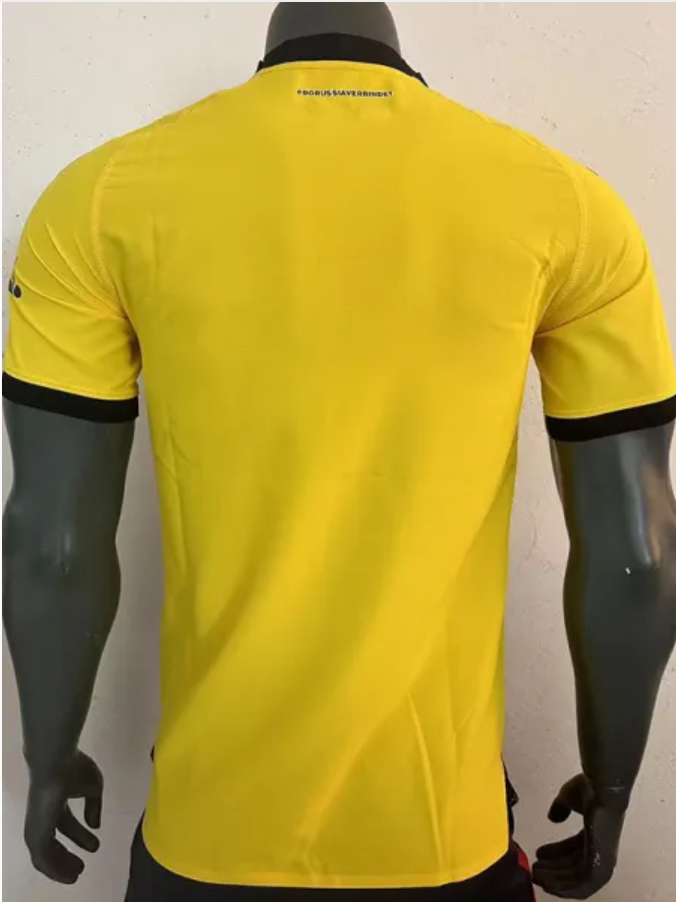 Dortmund home 23-24