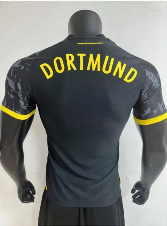Dortmund away 23-24