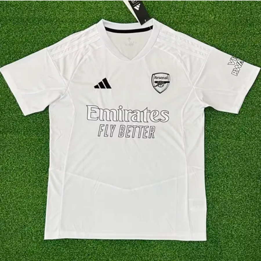 Arsenal fans