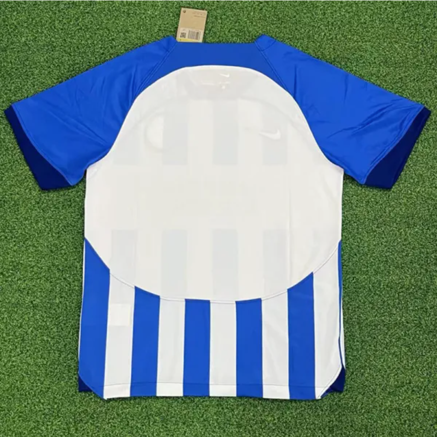 Brighton Concept