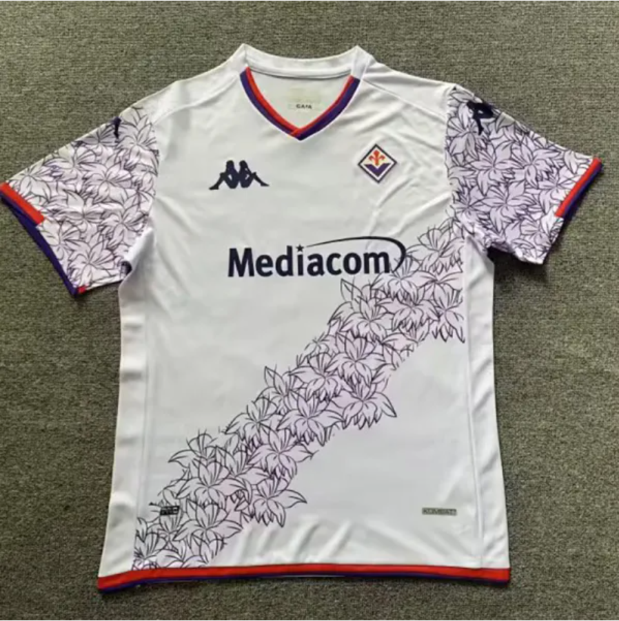 Fiorentina fans
