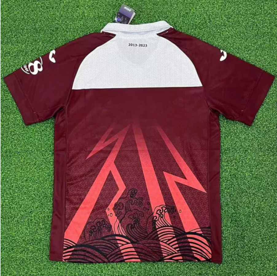 Torino Fans