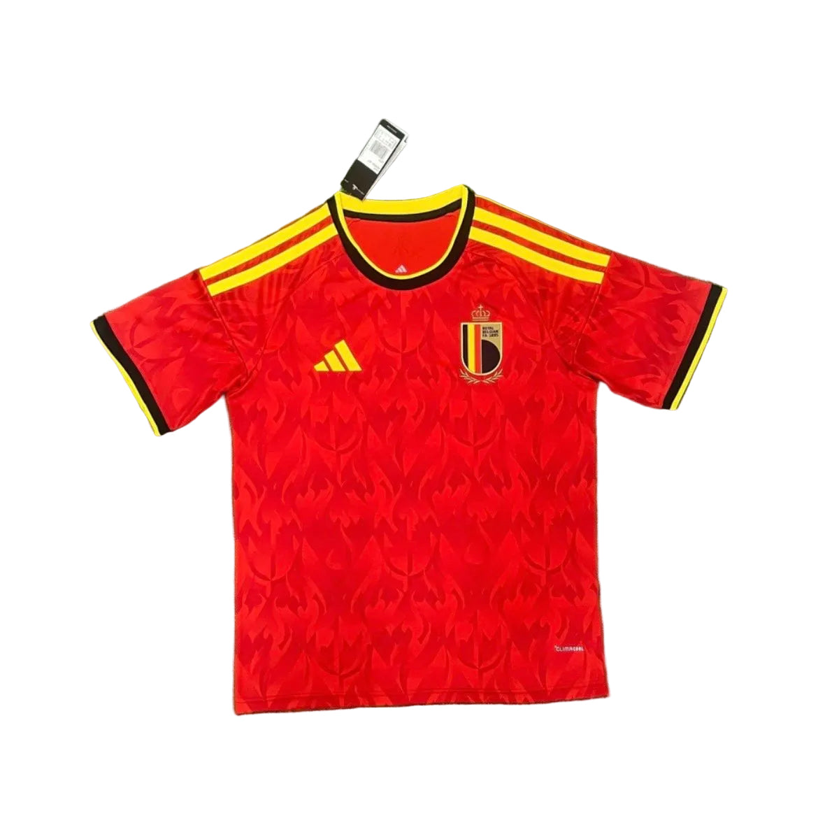 Belgique CDM 26 Domicile