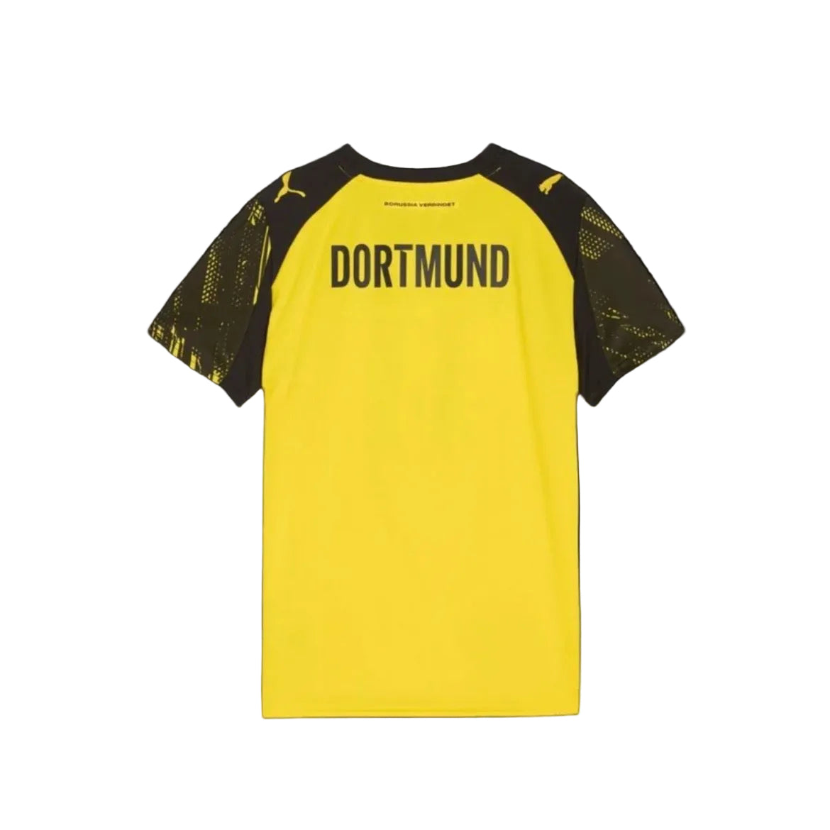 Dortmund 25/26 Domicile