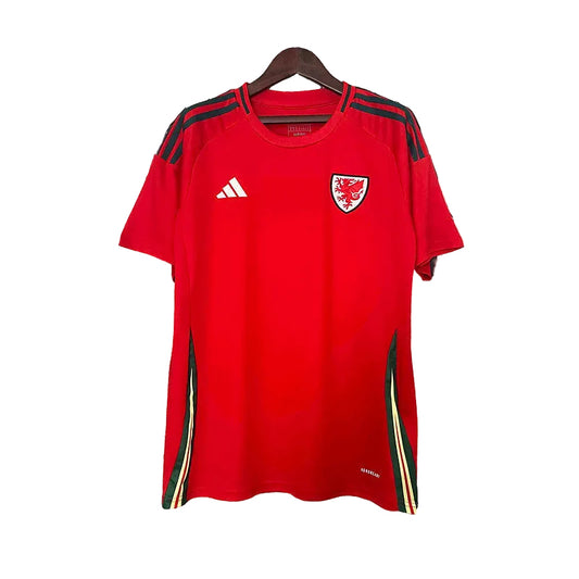 Pays de Galles domicile 24/25