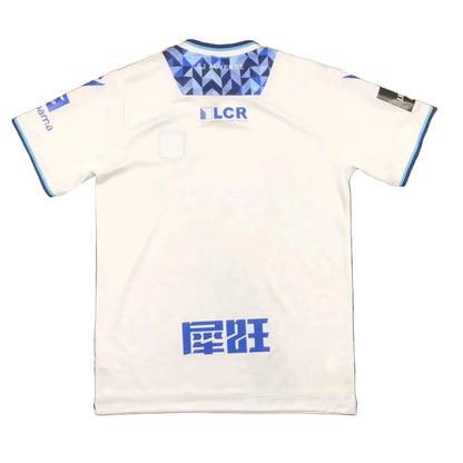 AJ Auxerre Domicile 24/25